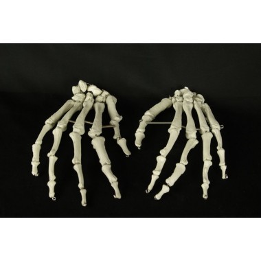Skeleton Hands-Sold As A Pair